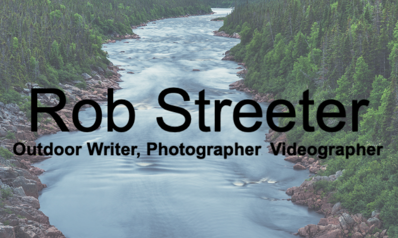 Robert Streeter