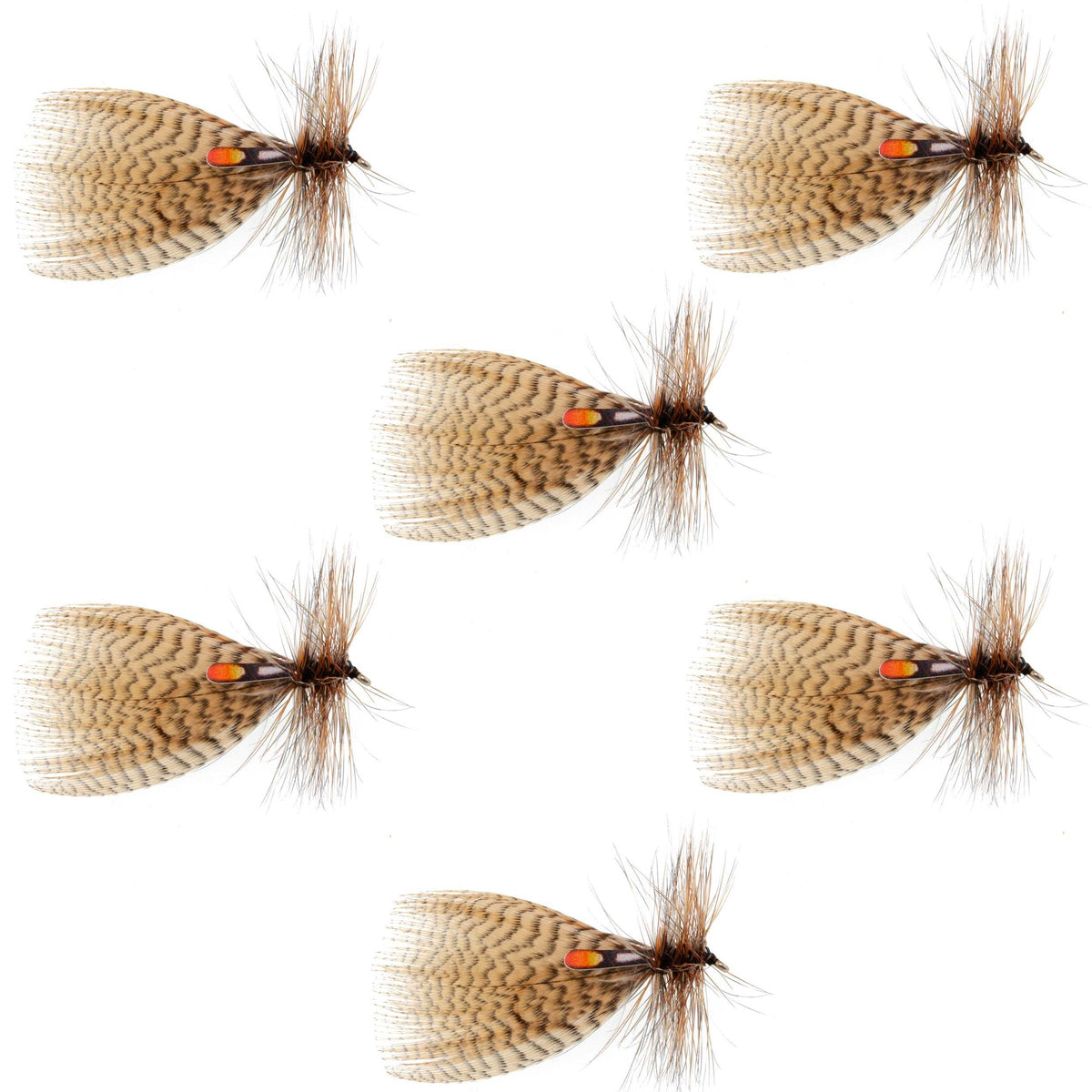 Hornberg Special Trout  Dry Fly - 6 Flies - Hook Size 10