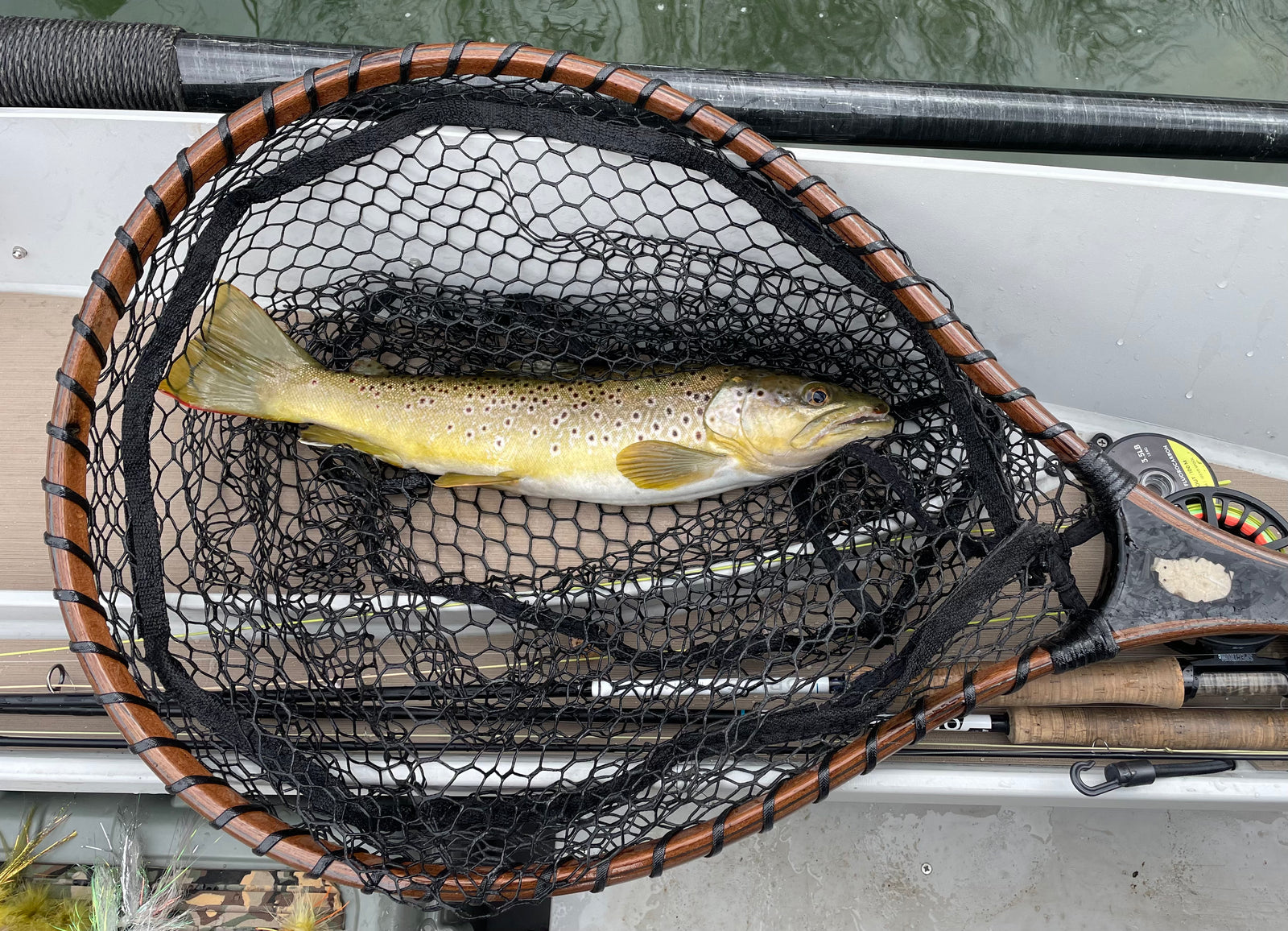 31" Custom Carbon Fiber & Wood Nets by Croff Craft