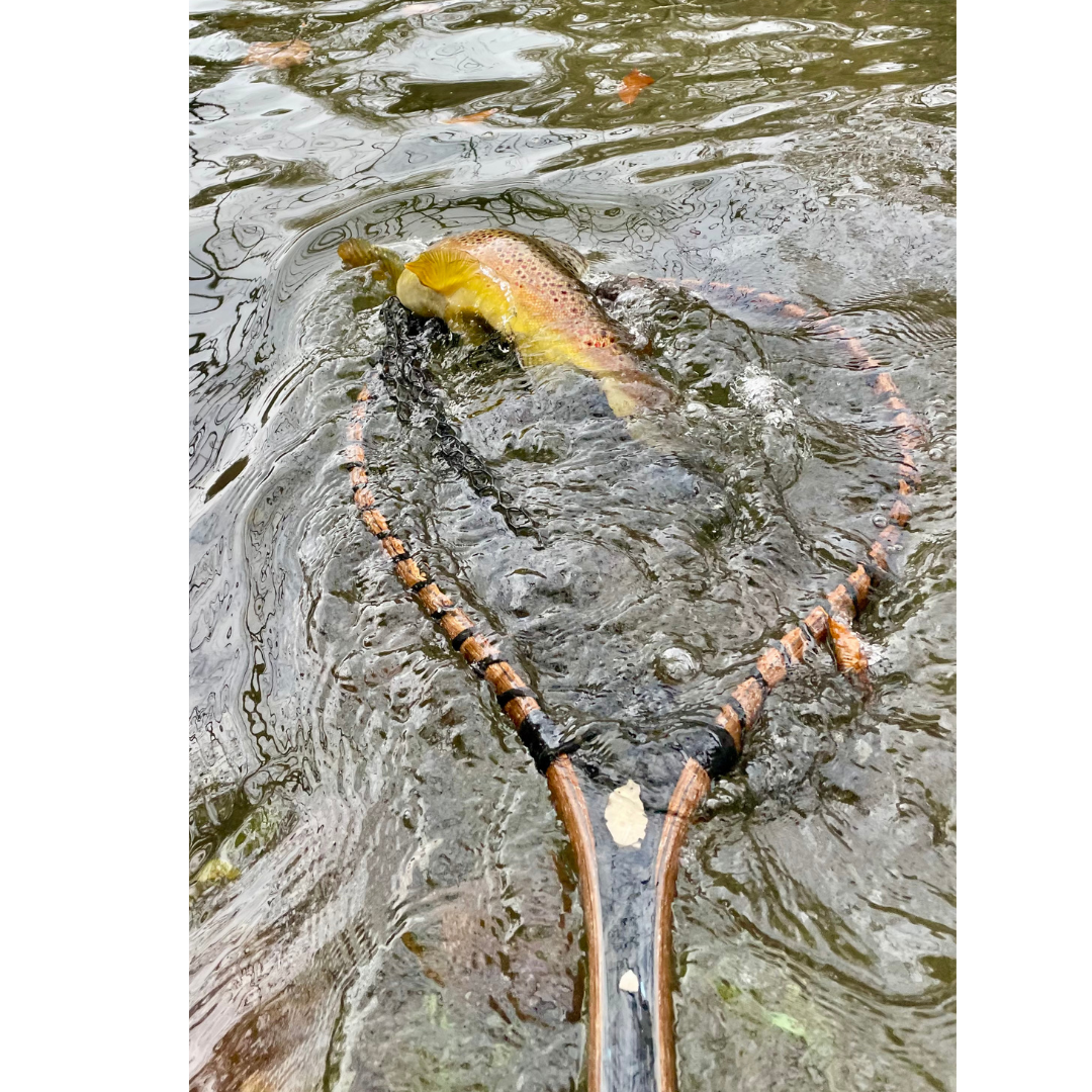 50" Custom Carbon Fiber & Wood Nets by Croff Craft