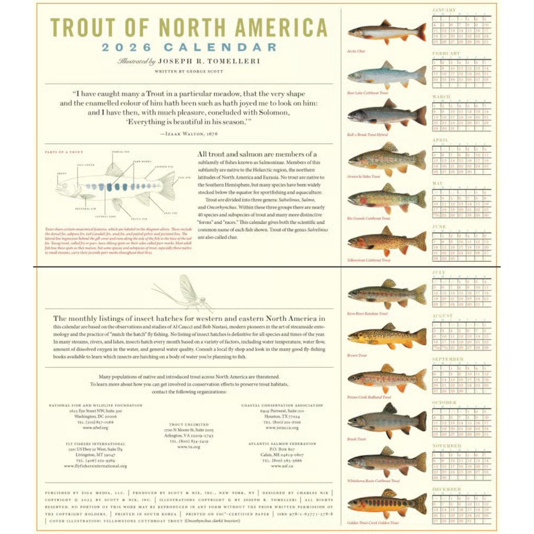 2026 Trout of North America Calendar