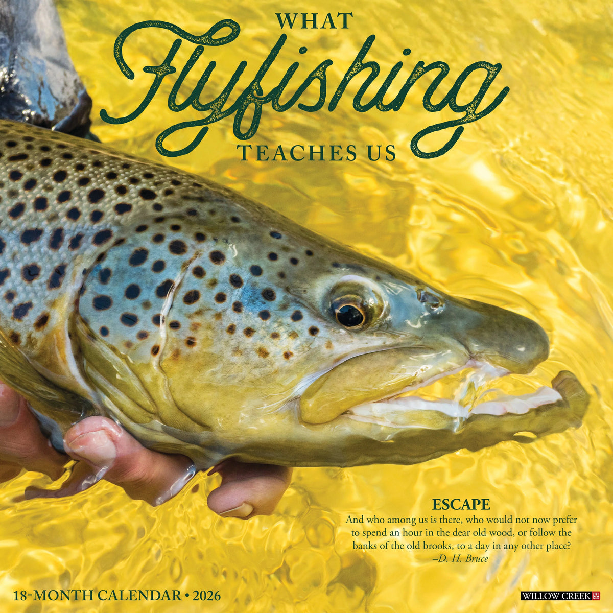 2026 What Fly Fishing Teaches Us