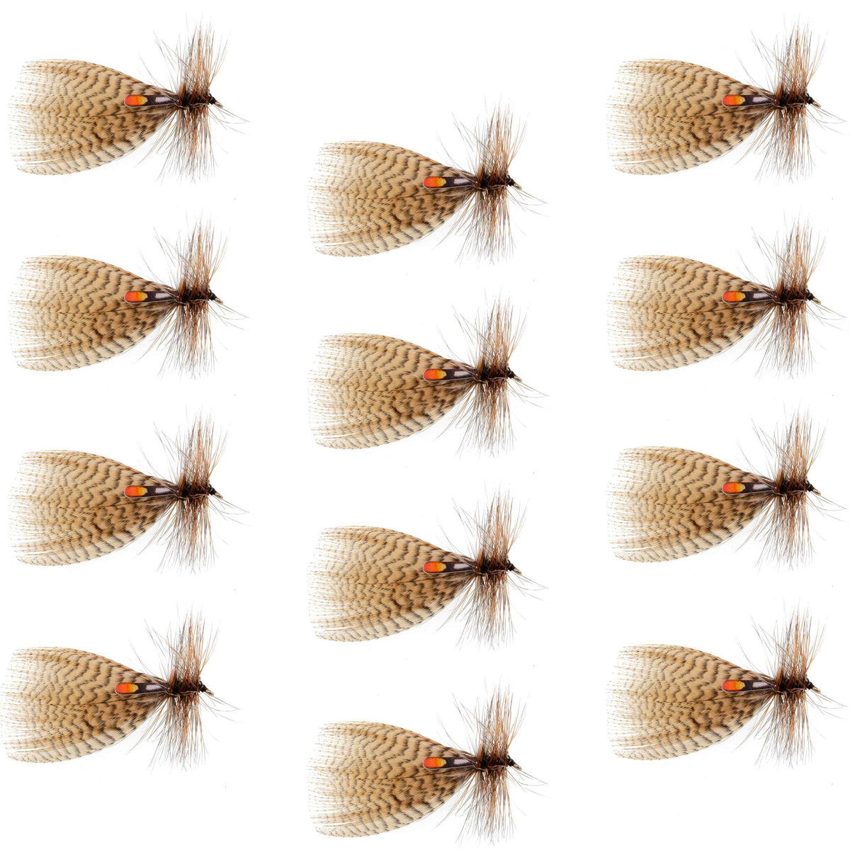 Hornberg Special Trout  Dry Fly - 12 Flies - Hook Size 8