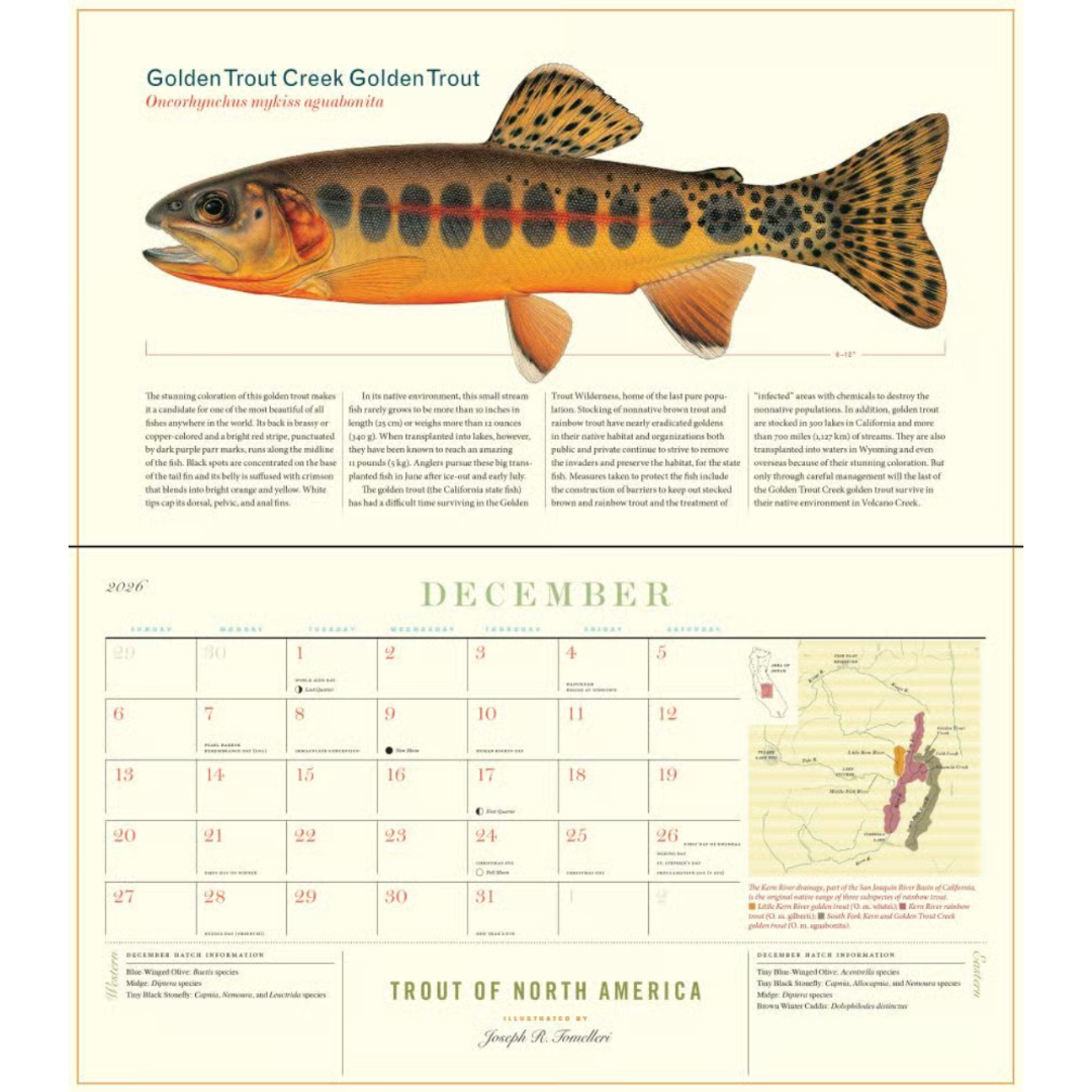 2026 Trout of North America Calendar