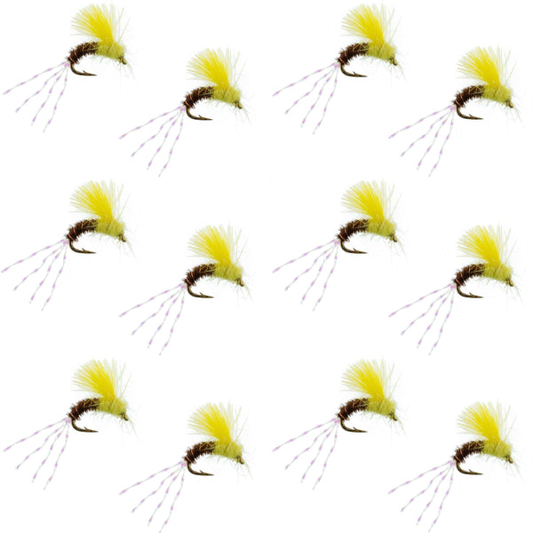 CDC Pale Morning Dun Emerger PMD Fishing Fly - (12 Pack, Sz 16 ...