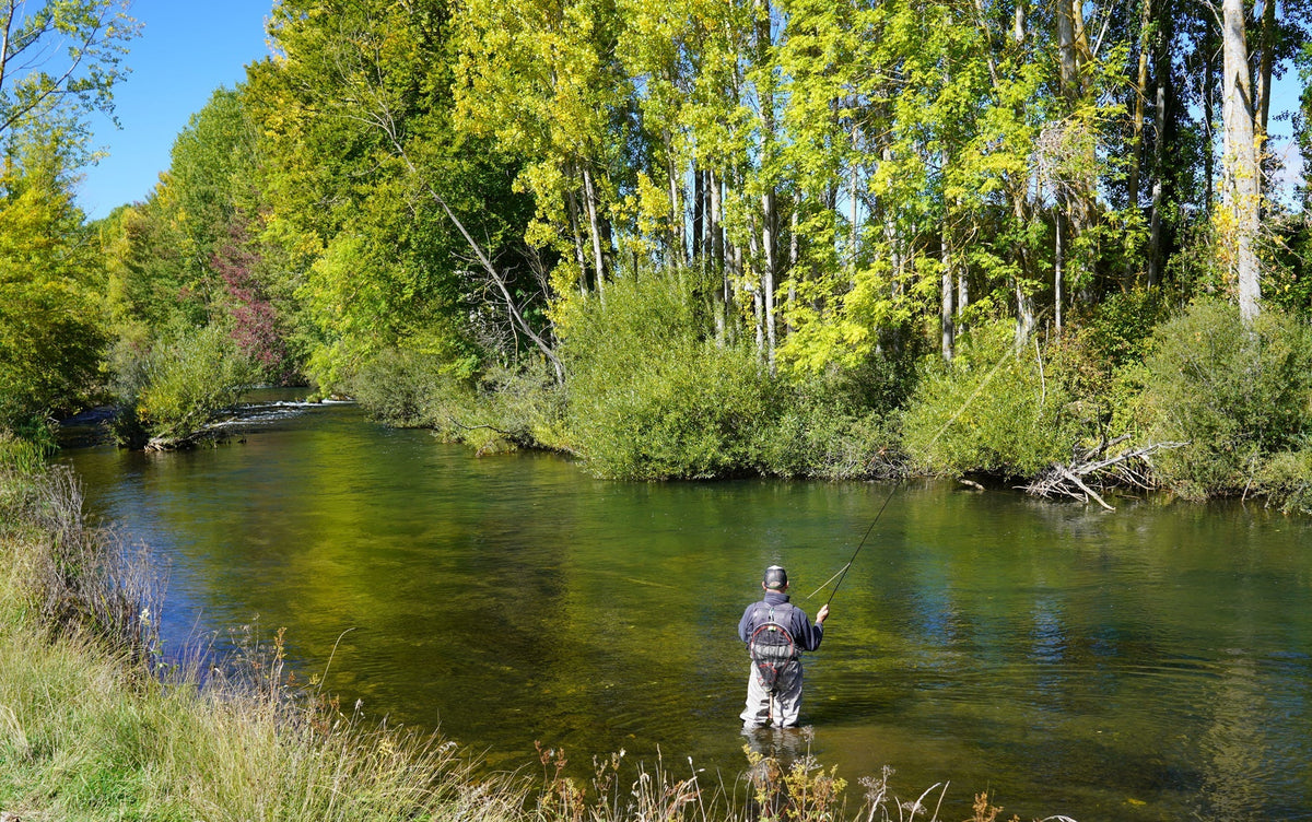 Mercury Red Blood Midge - Glass Bead Head - (12 Pack, Sz 20)