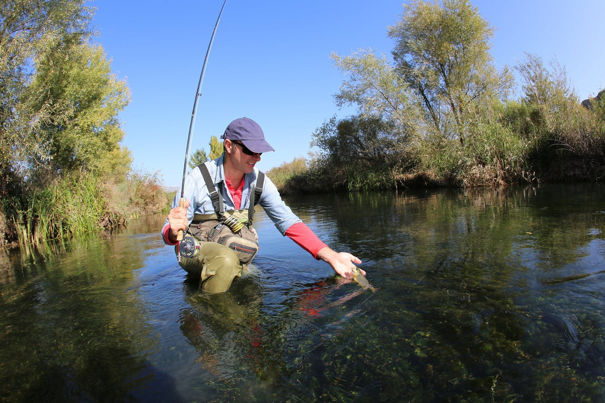 Light Hendrickson Classic Dry Fly - (3 Pack, Sz 18)