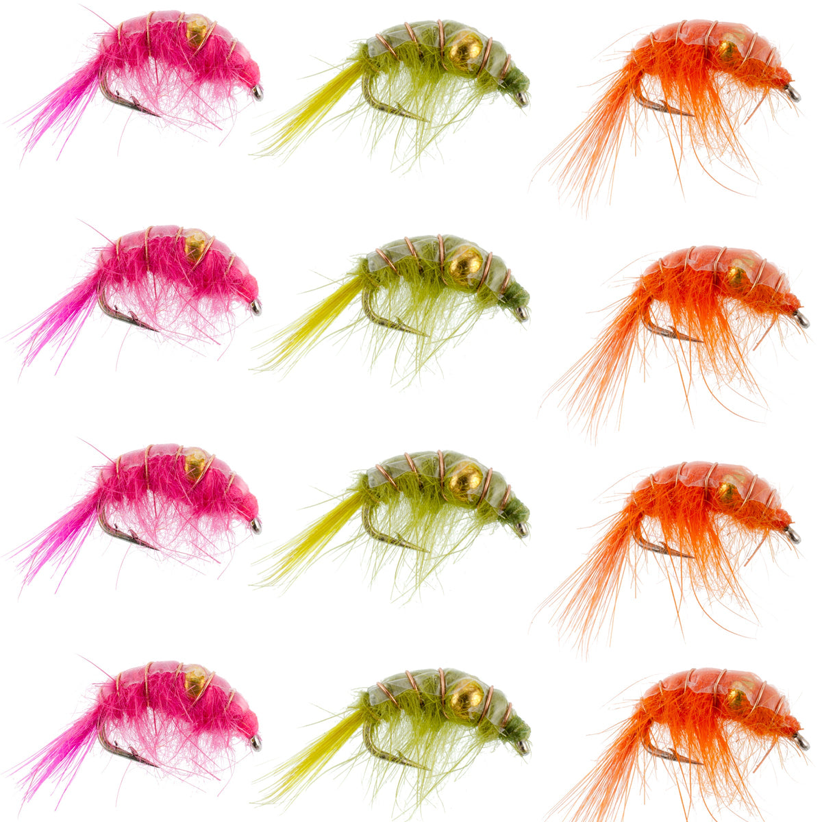 Beaded Shrimp Scud Assortment - Tailwater Lake Fly - (12 Pack, Sz 16)