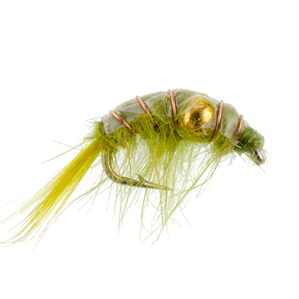 Olive Beaded Shrimp Scud Pattern - Tailwater Lake Fly Fishing Nymph - (6 Pack, Sz 16)
