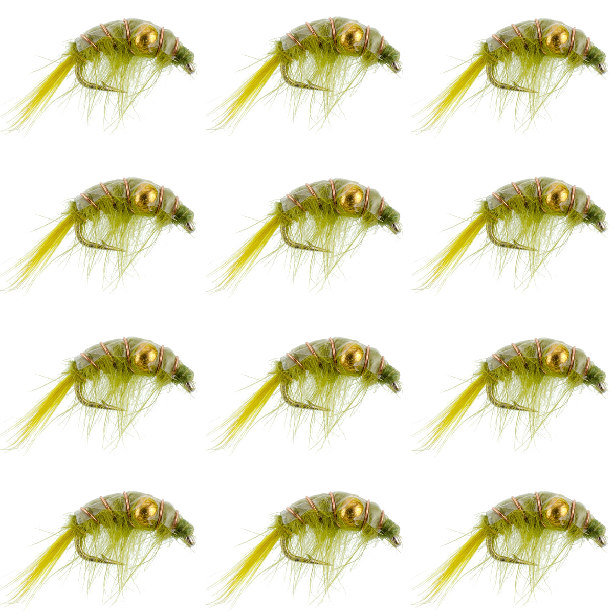 Olive Beaded Shrimp Scud Pattern - Tailwater Lake Fly Fishing Nymph - (12 Pack, Sz 16)