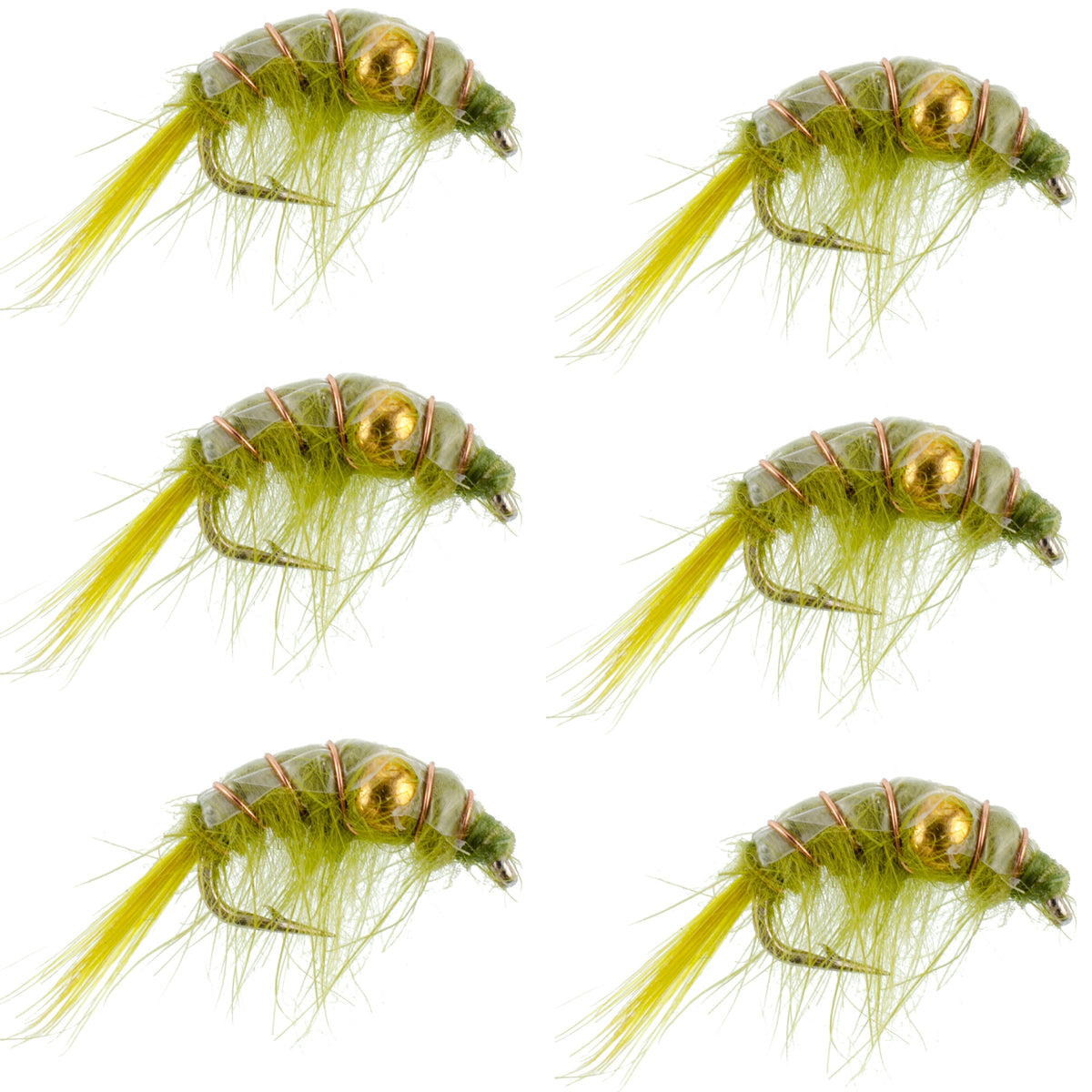 Olive Beaded Shrimp Scud Pattern - Tailwater Lake Fly Fishing Nymph - (6 Pack, Sz 16)