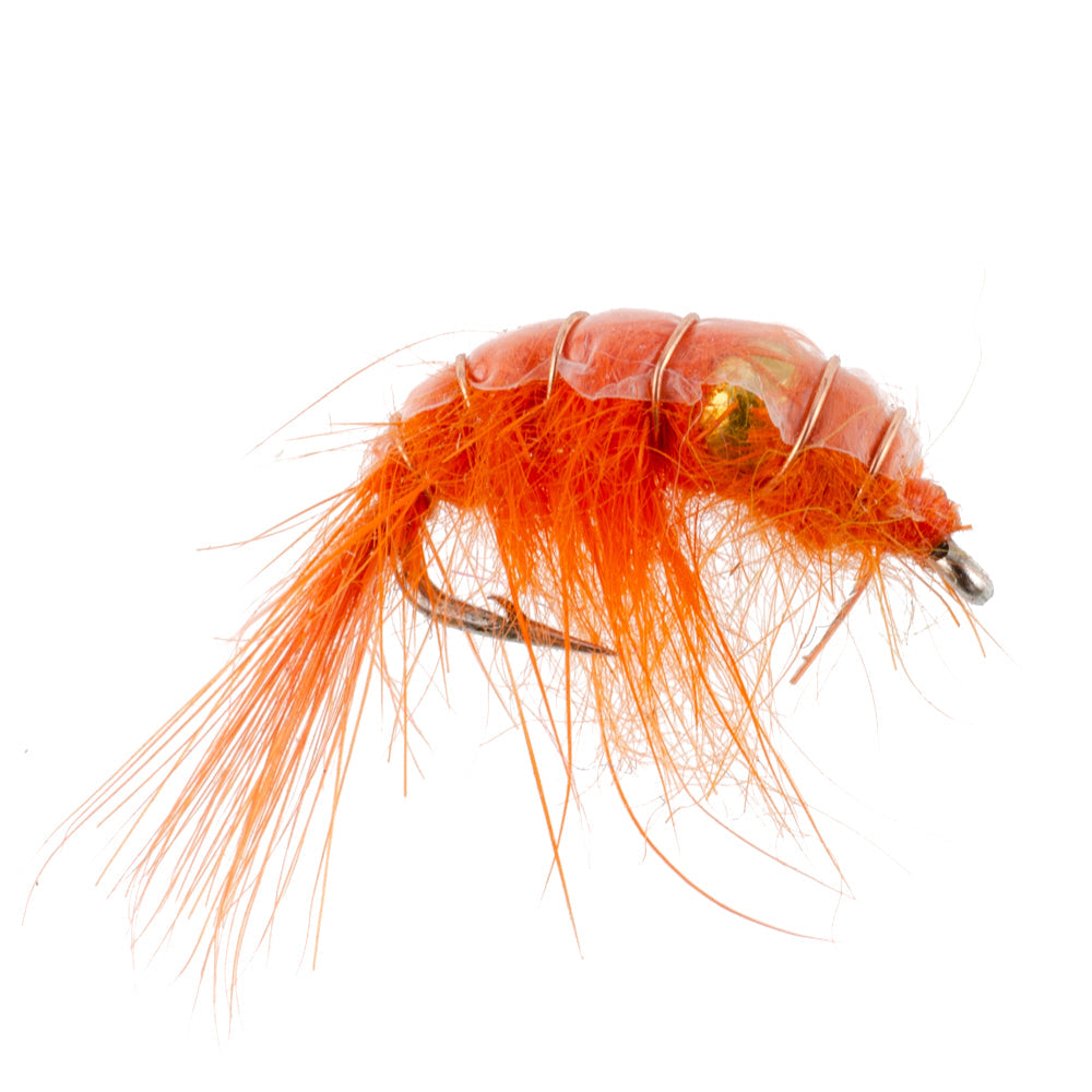 Beaded Shrimp Scud Assortment - Tailwater Lake Fly - (12 Pack, Sz 16)