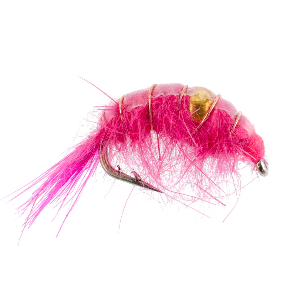 Beaded Shrimp Scud Assortment - Tailwater Lake Fly - (12 Pack, Sz 16)