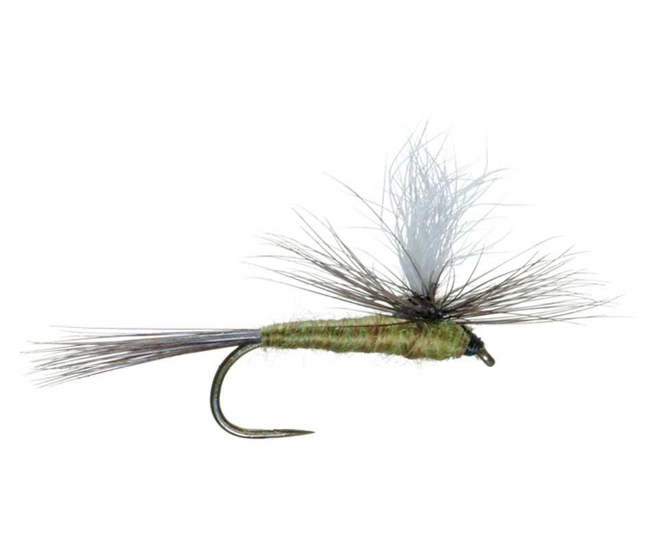 Barbless Parachute Blue Winged Olive BWO Dry Fly - (6 Pack, Sz 14)