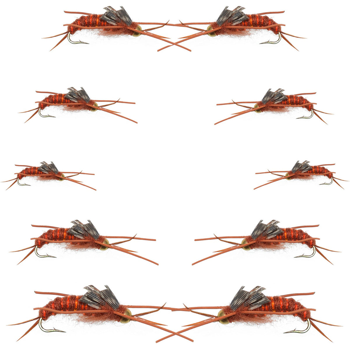 Basics Collection - Kaufmann&#39;s Brown Stonefly Nymph Assortment 10 Bead Head Rubber Legs Wet Flies - Hook Sizes 6, 8, 10, and 12