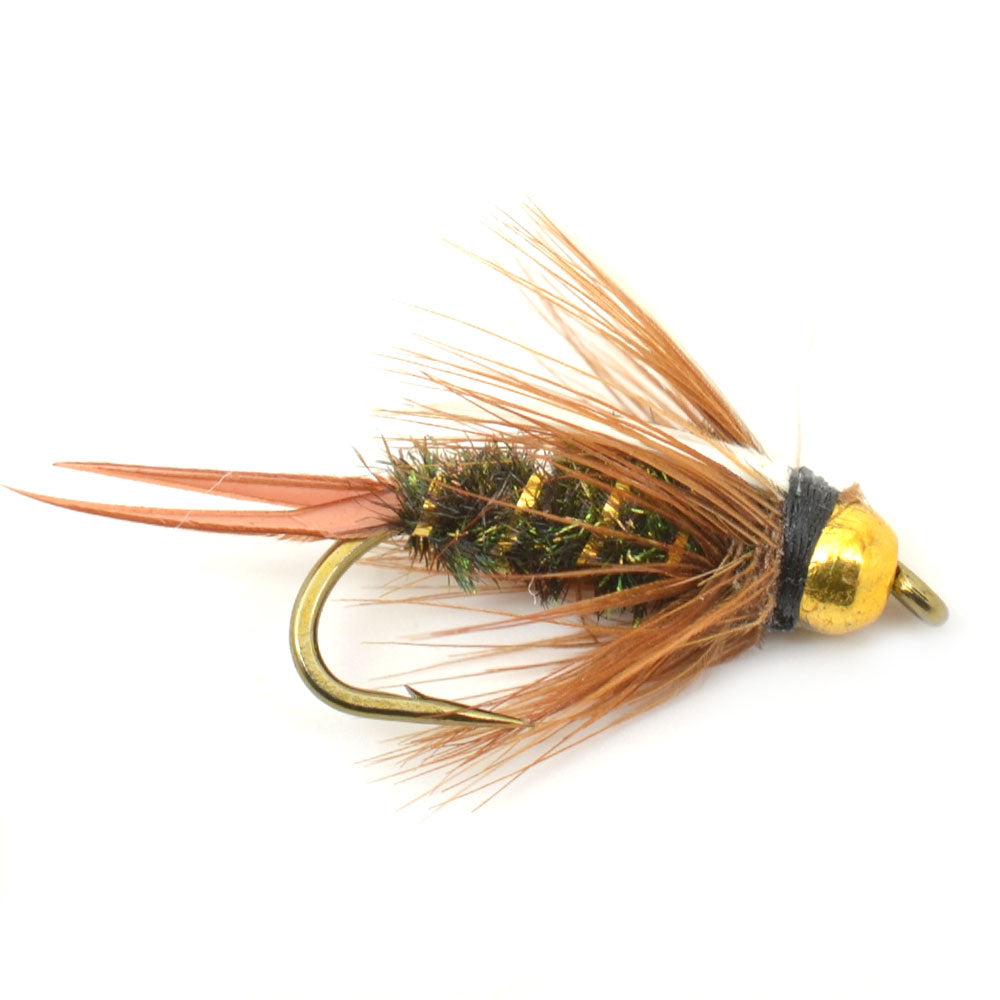 Basics Collection - Bead Head Nymph Assortment - 10 Wet Flies - 5 Patterns - Hook Sizes 12, 14, 16