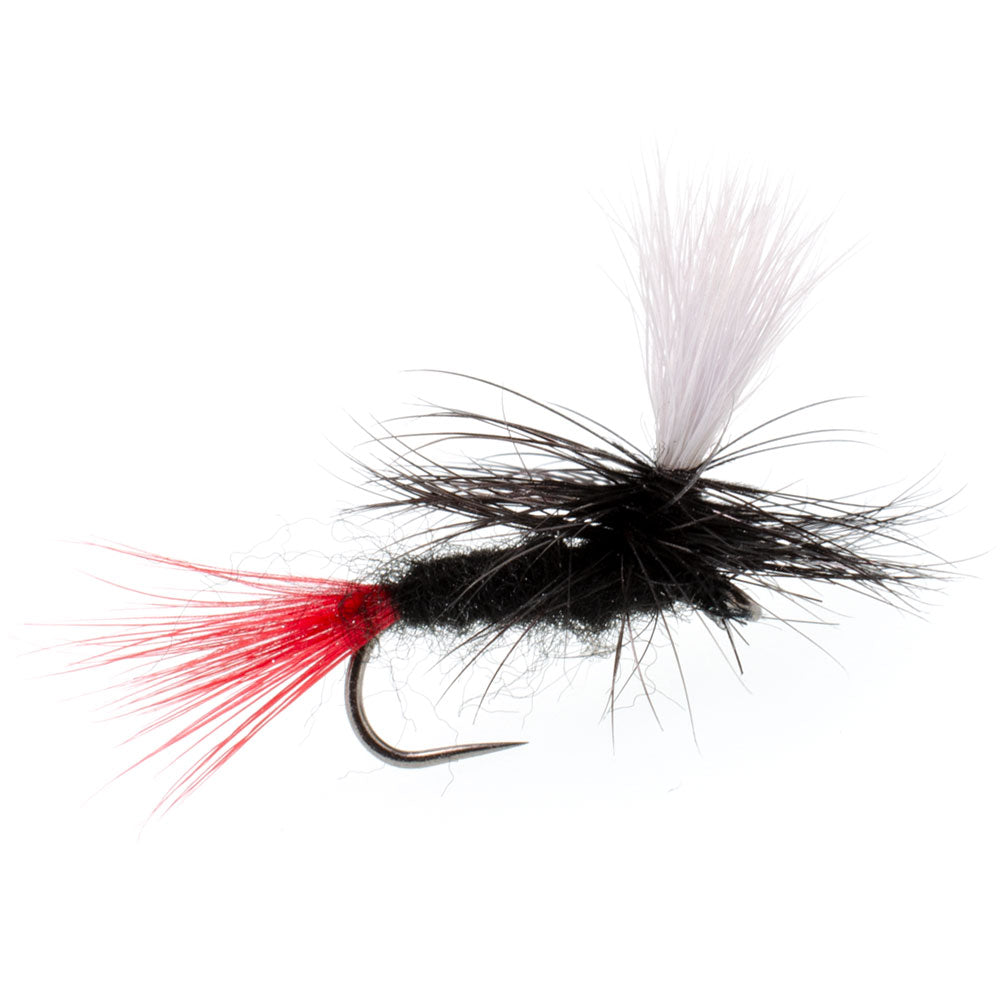 3 Pack Barbless Parachute Black Gnat Red Tail Dry Fly - Size 14