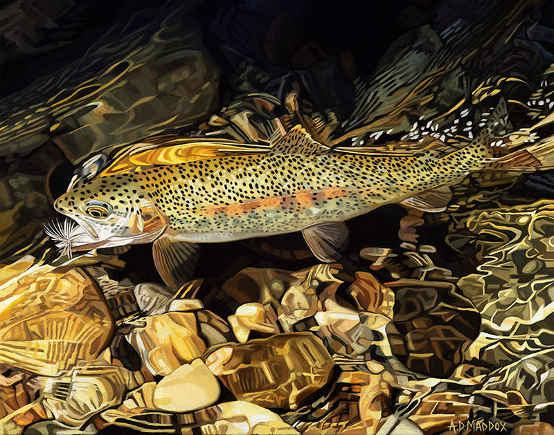 Boulder River Rainbow by A.D. Maddox