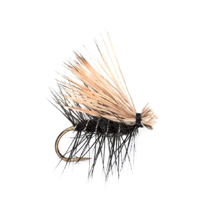 Black Elk Hair Caddis Classic Trout Dry Fly - Set of 6 Flies Size 10