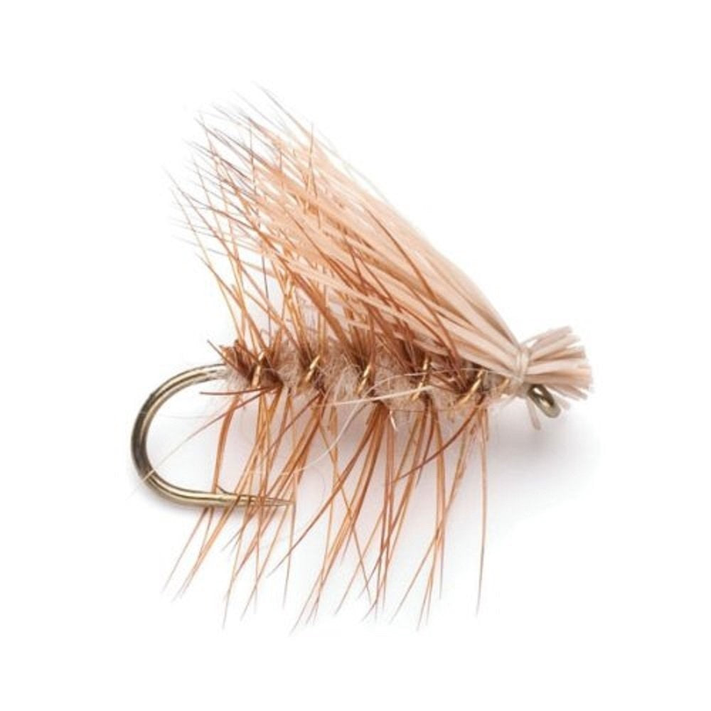 Eastern Trout Fly Assortment - 12 Essential Dry and Nymph Fly Fishing Flies Collection - Trout Flies with Gift Fly Box