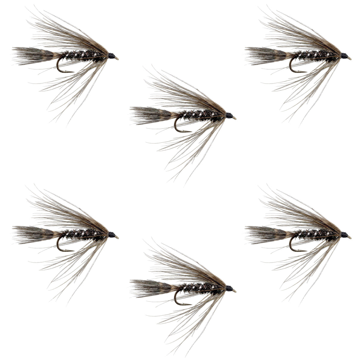 Carey Special Soft Hackle Grouse and Peacock Wet Fly - (6 Pack, Sz 10)
