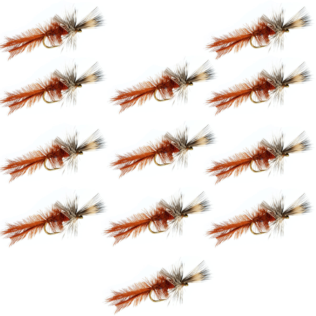 Callibaetis Cripple Mayfly  - (12 Pack, Sz 16)