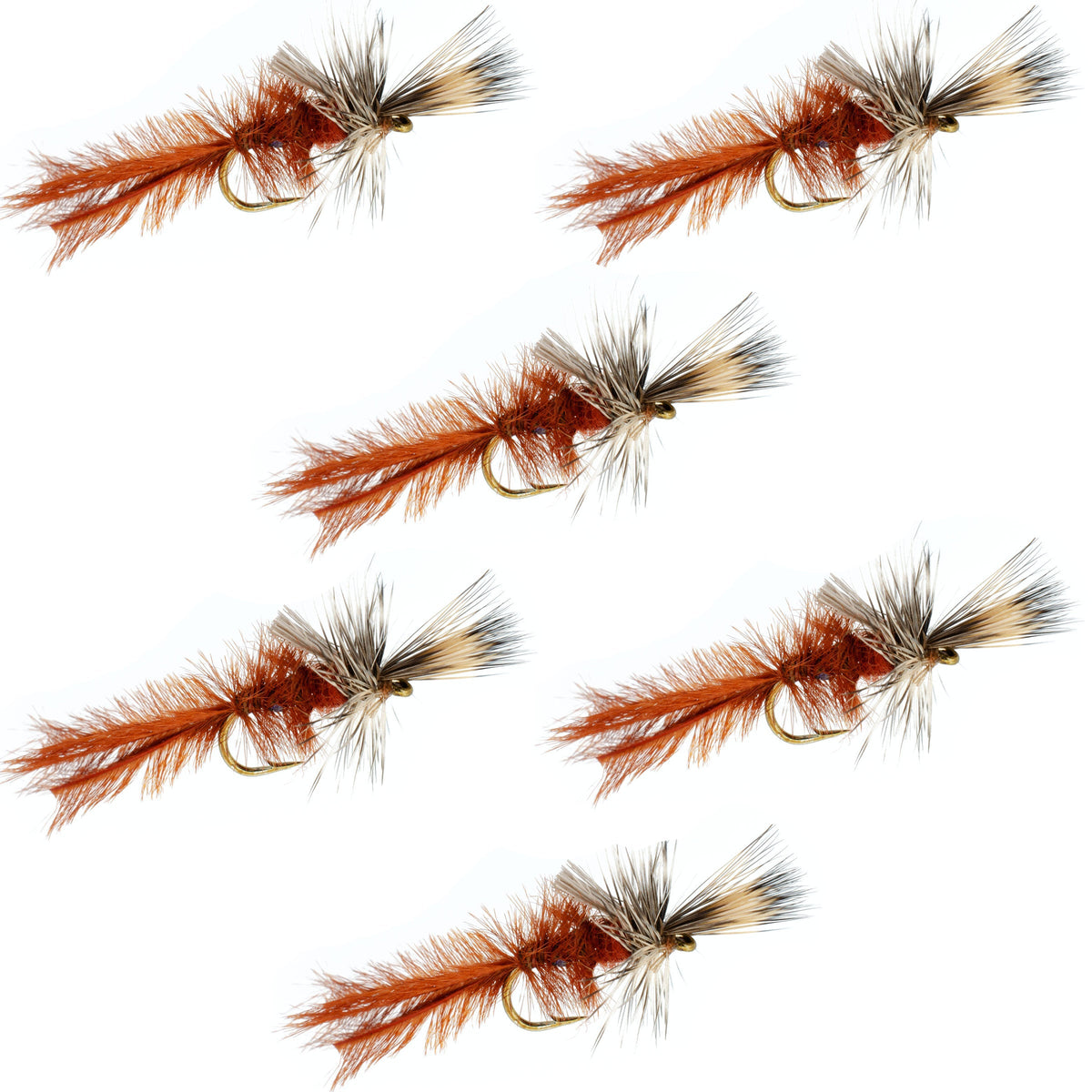 Callibaetis Cripple Mayfly  - (6 Pack, Sz 16)