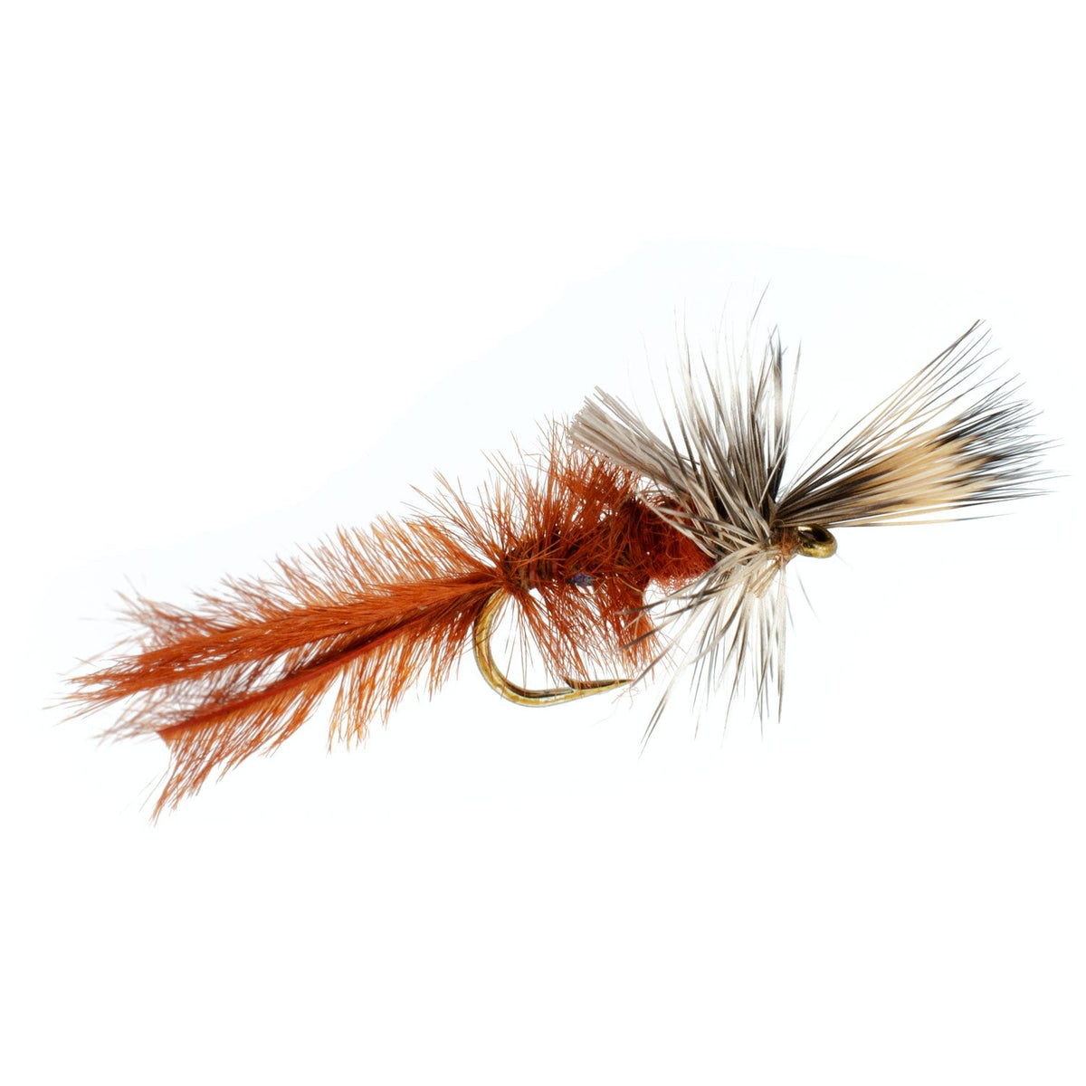 Callibaetis Cripple Mayfly  - (6 Pack, Sz 16)
