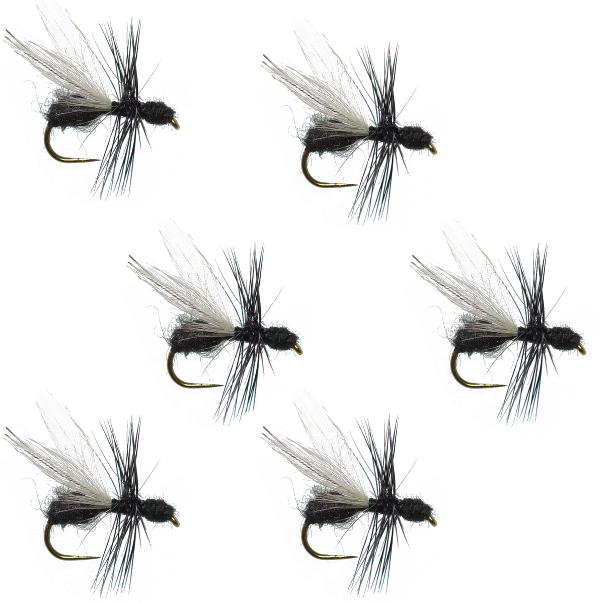 Black Fur Flying Ant Terrestrial Trout Dry Fly - (6 Pack, Sz 18)