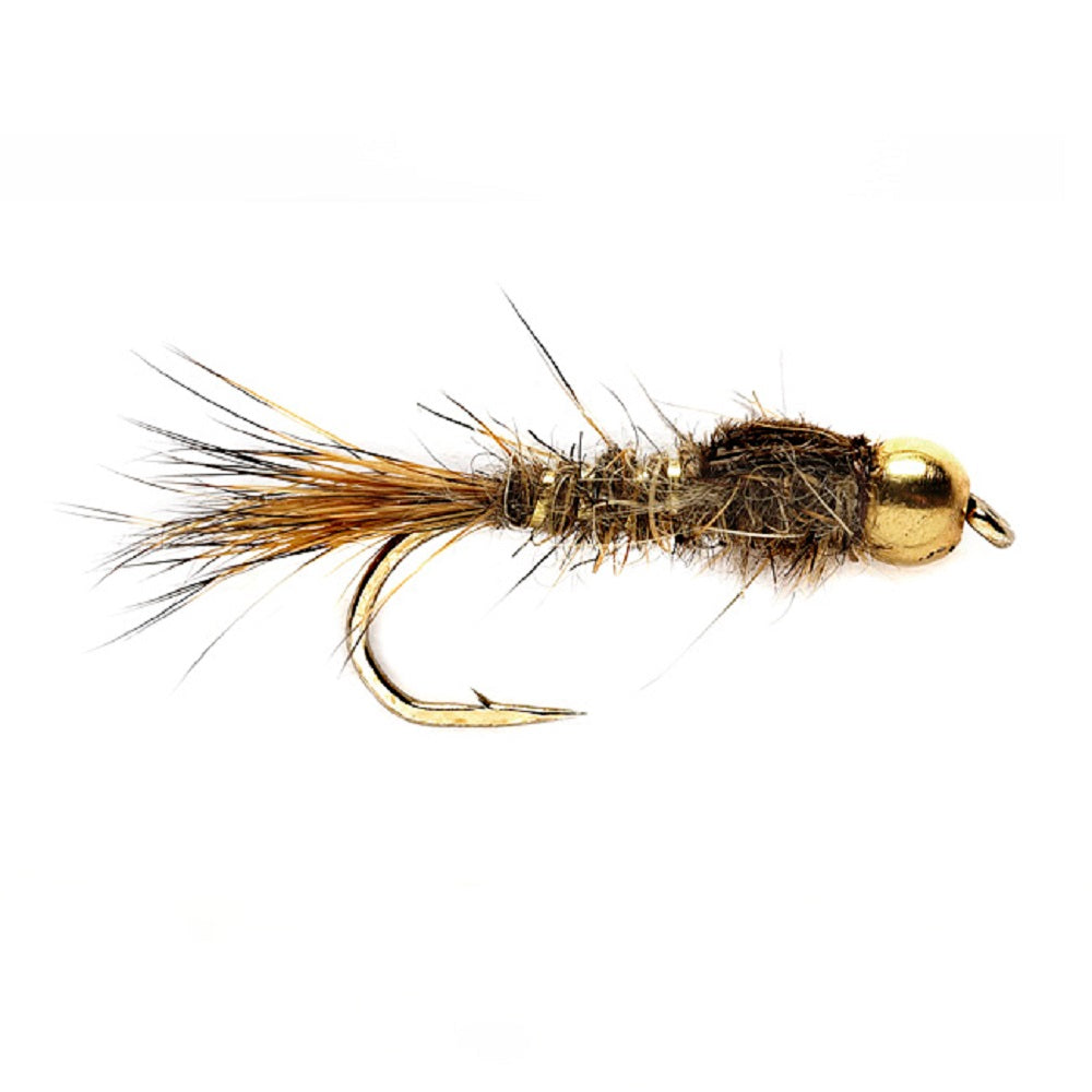 Basics Collection - Bead Head Nymph Assortment - 10 Wet Flies - 5 Patterns - Hook Sizes 12, 14, 16