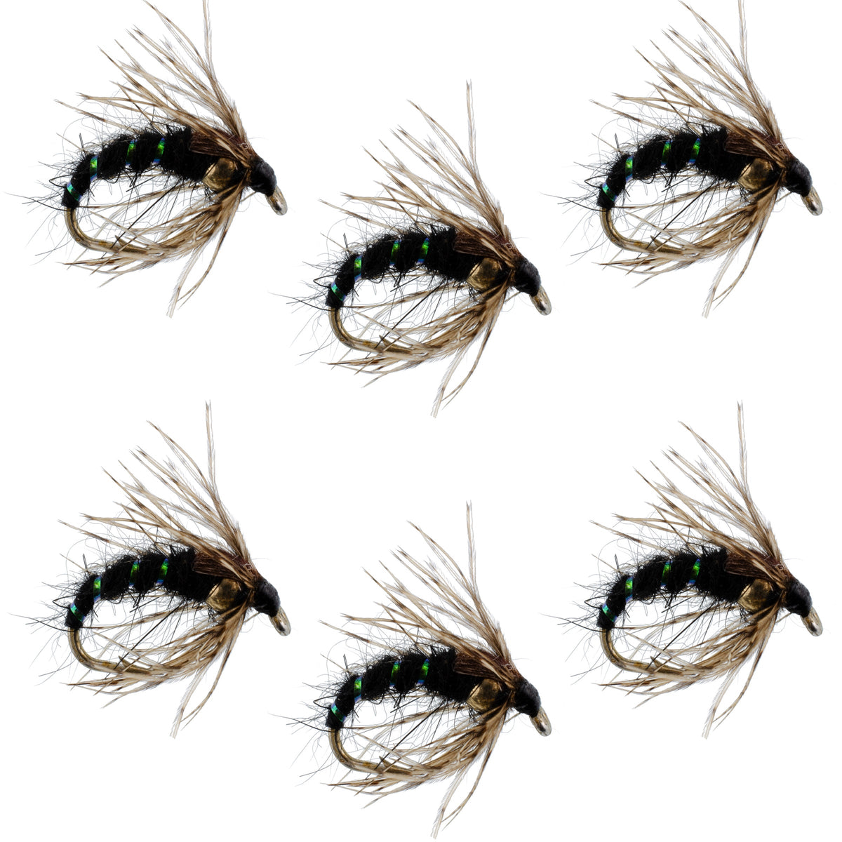 Black Holy Grail Caddis Pupa Emerger 6 Flies Hook Size 12