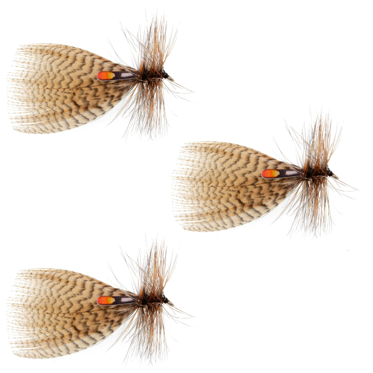 3 Pack Hornberg Special Trout Dry Fly - Hook Size 10