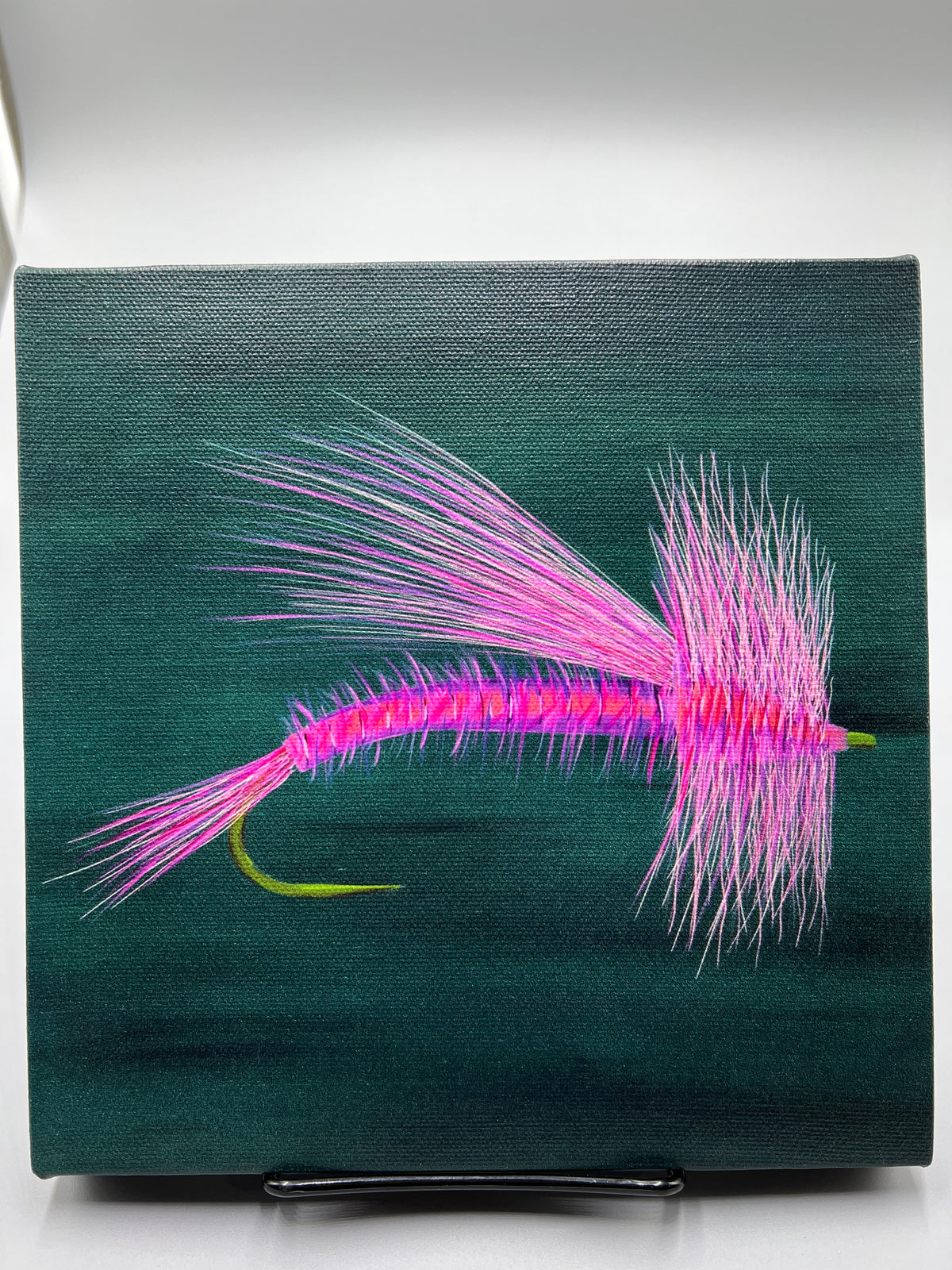 Pink Fly Canvas Print