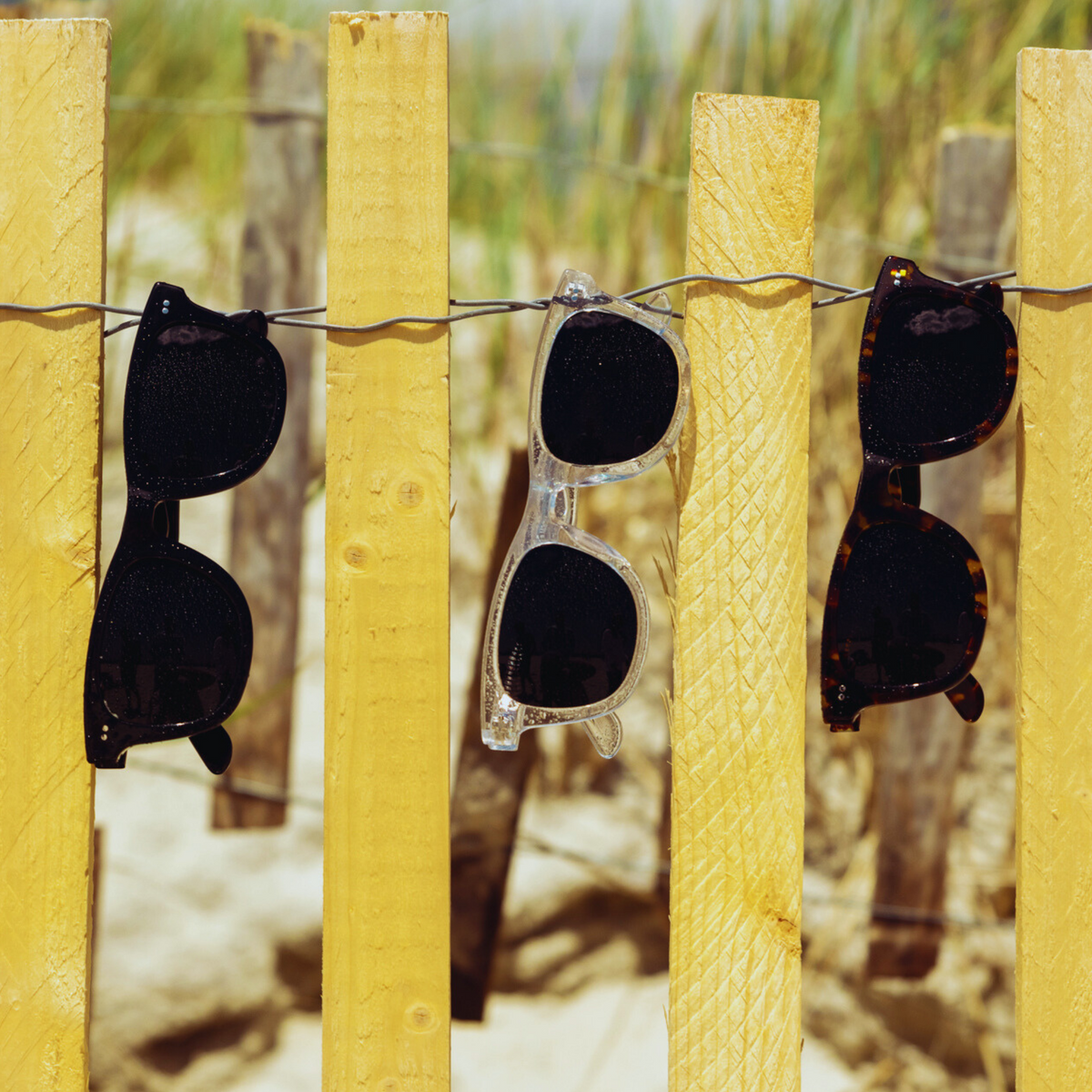 Beachcomber - Polarized Sunglasses