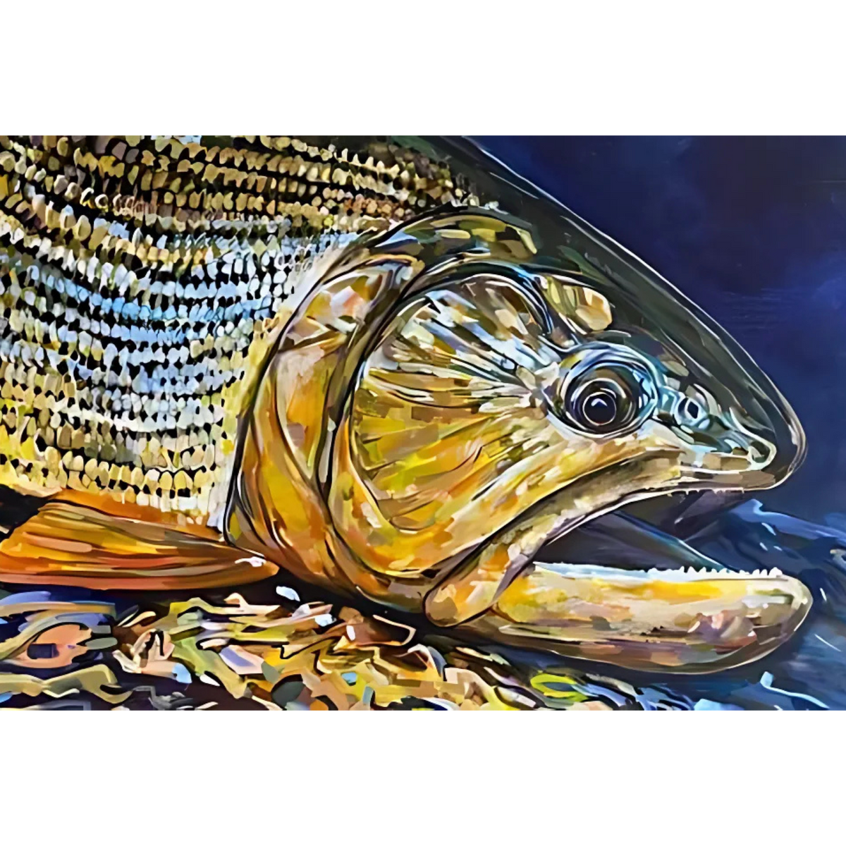 Golden Dorado by Josh Udesen
