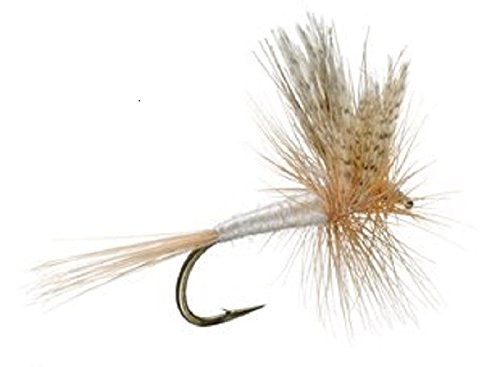 Light Cahill Classic Trout Dry Fly Fishing Fly - (3 Pack, Sz 16)