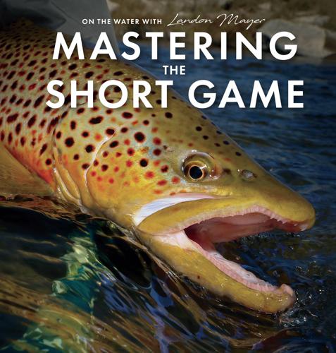 MASTERING THE SHORT GAME