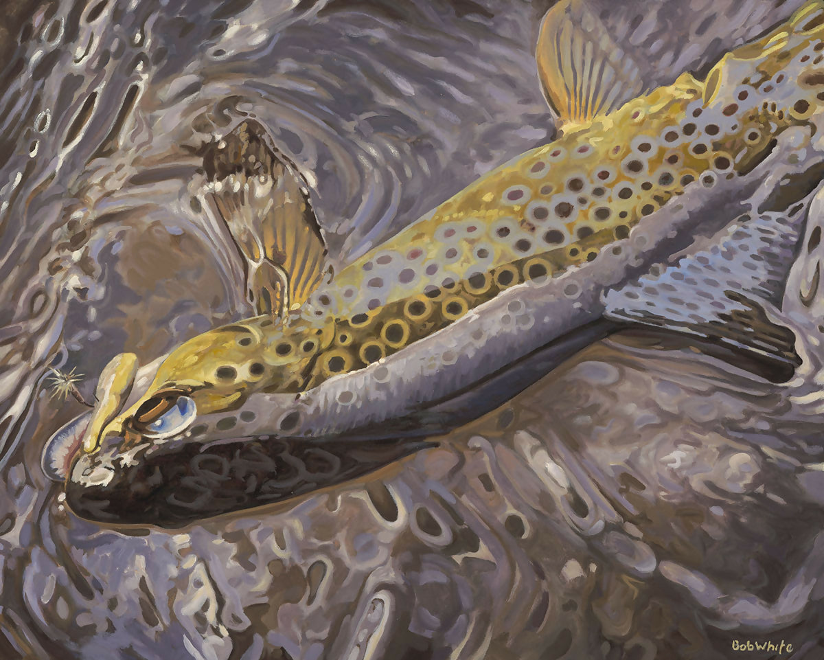 &quot;Color and Light Reflected - Brown Trout&quot; by Bob White