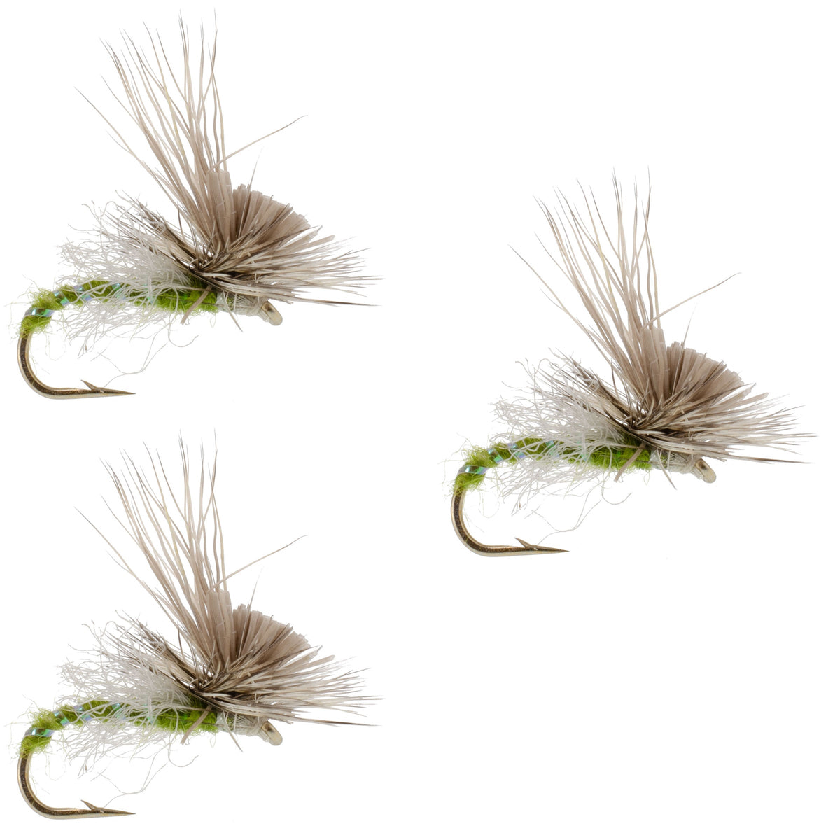 Green Drake Missing Link Mayfly Flies - (3 Pack, Sz 10)
