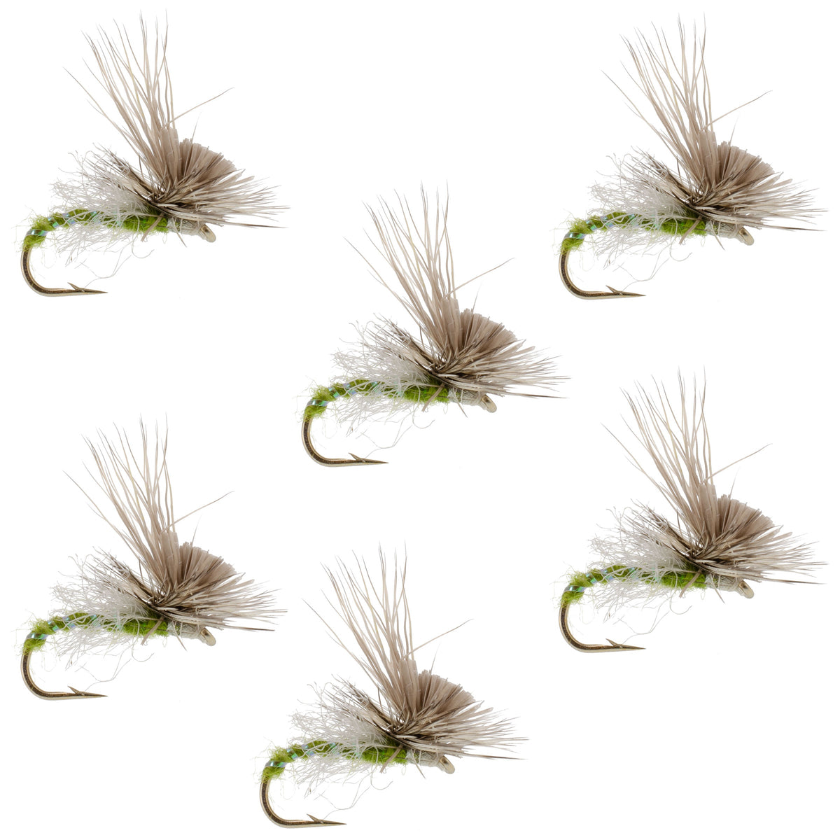 Green Drake Missing Link Mayfly Flies - (6 Pack, Sz 12)