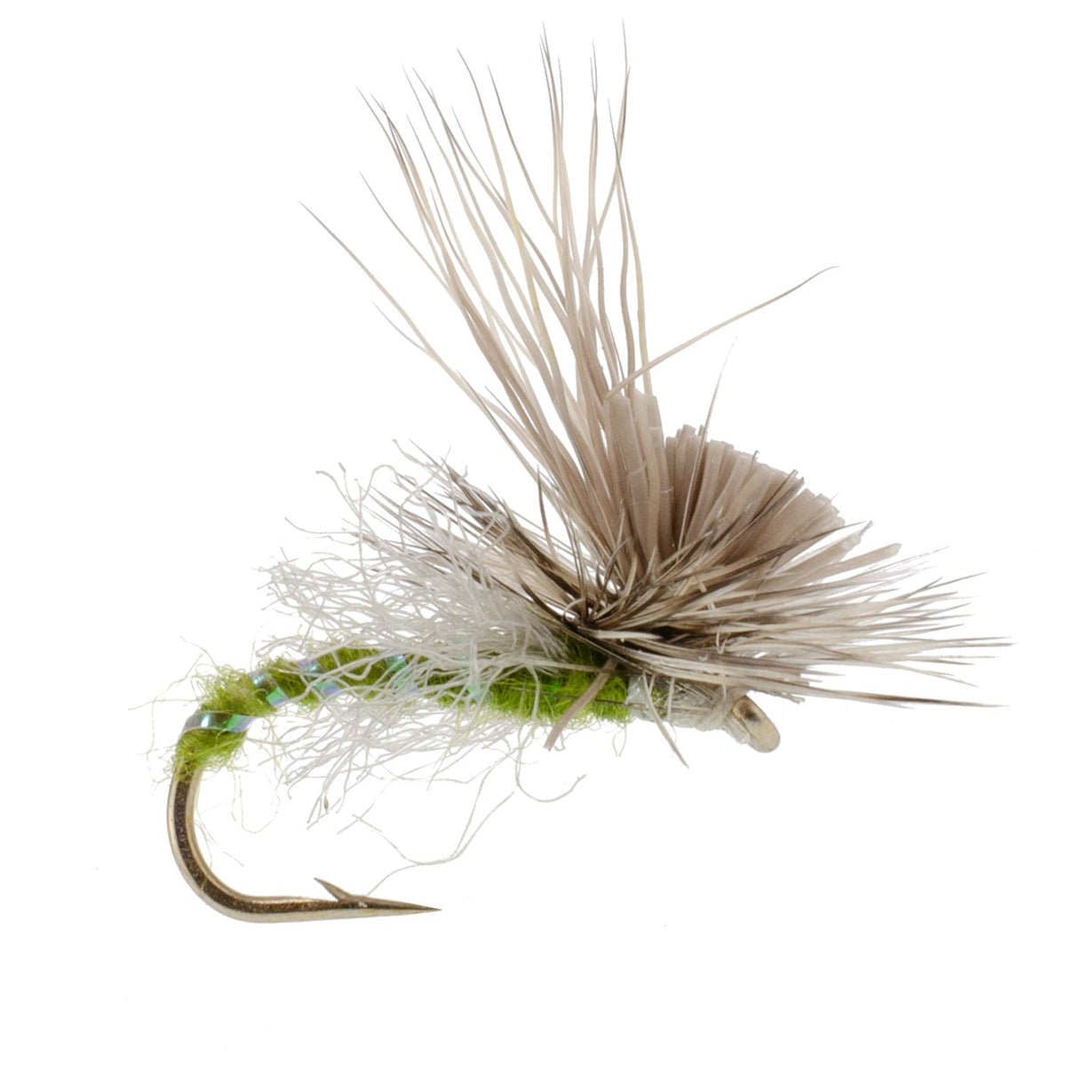 Green Drake Missing Link Mayfly Flies - (12 Pack, Sz 12)
