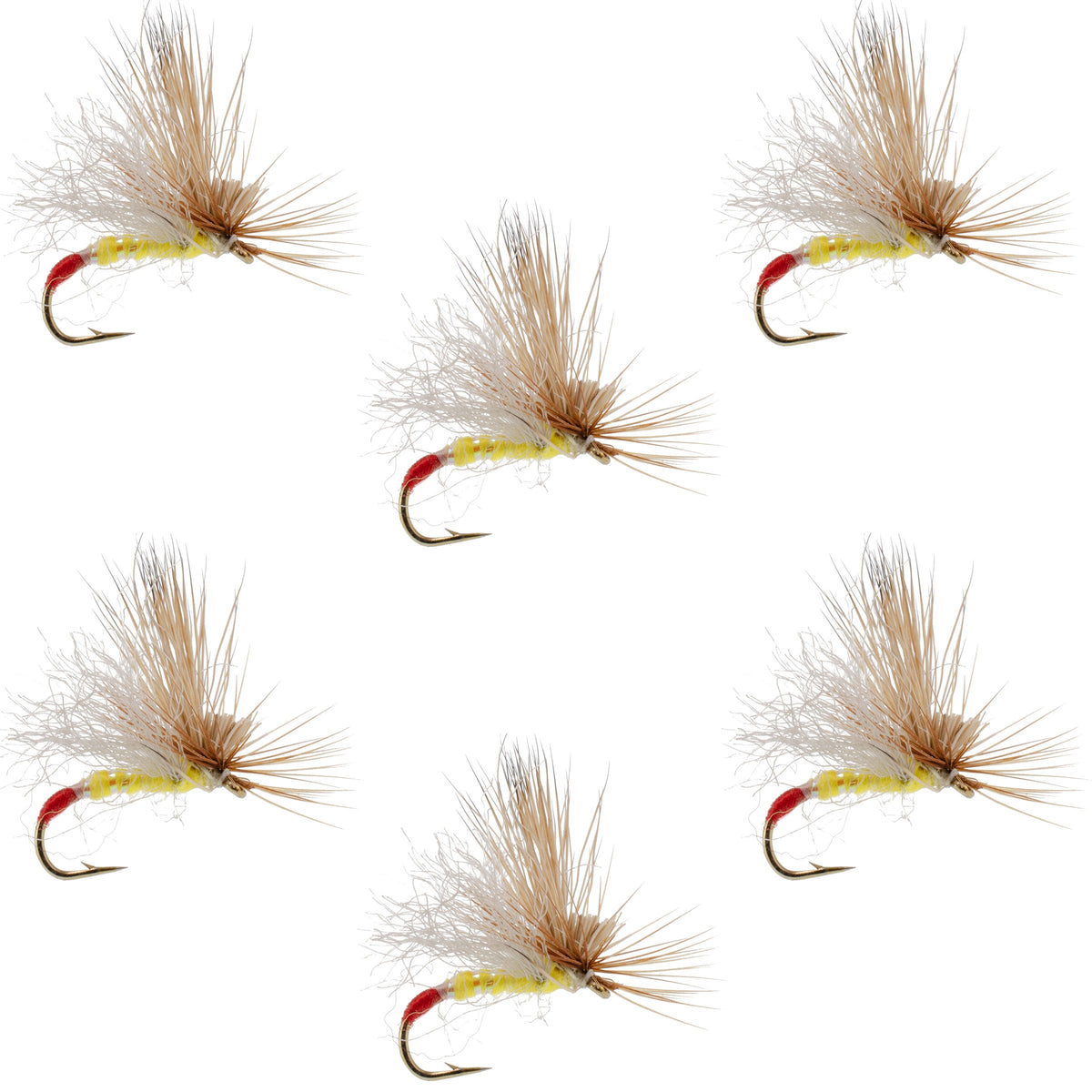 Yellow Sally Missing Link Stonefly - (6 Pack, Sz 16)