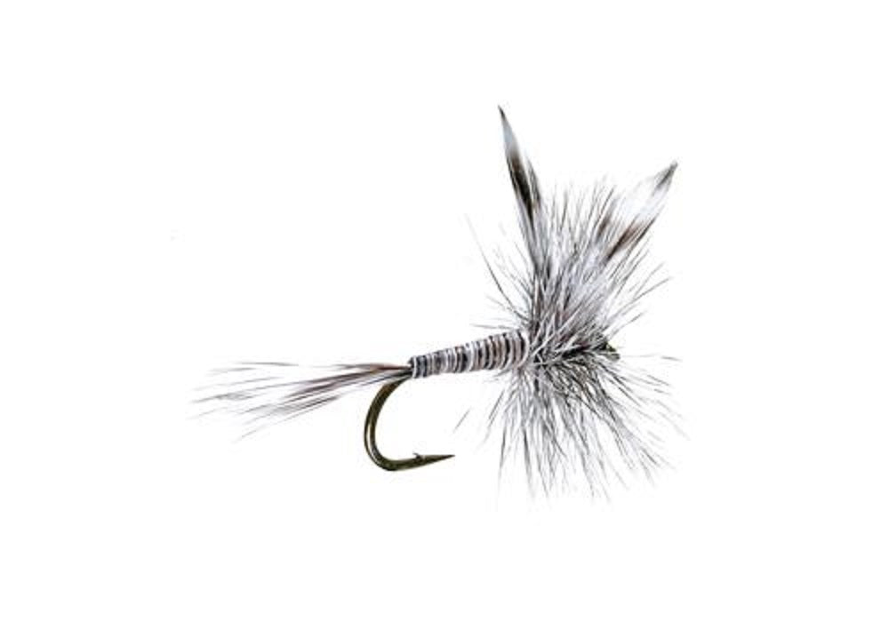 Basics Collection - Classic Dry Fly Assortment - 10 Dry Fishing Flies - 5 Patterns - Hook Sizes 12, 14, 16