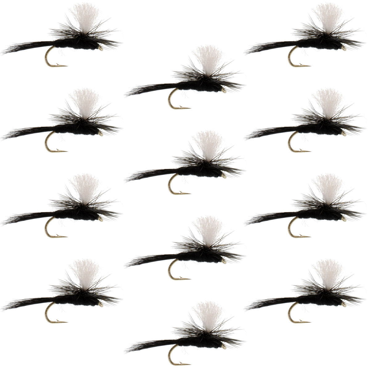 Parachute Black Gnat Classic Dry Fly - (12 Pack, Sz 14)