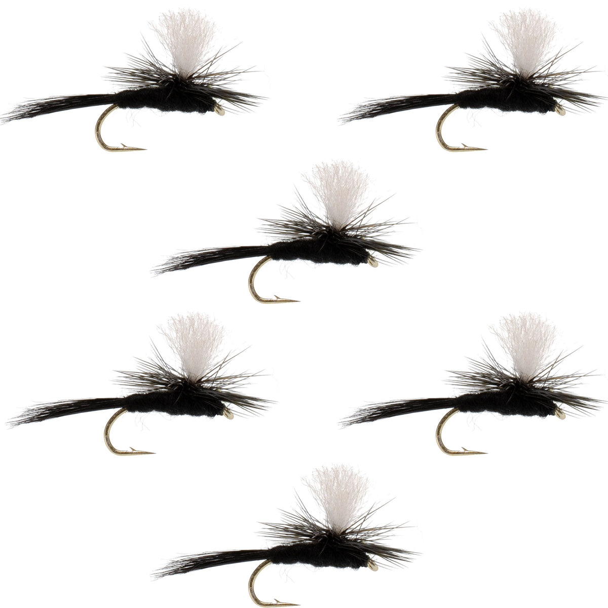 Parachute Black Gnat Classic Dry Fly - (6 Pack, Sz 14)