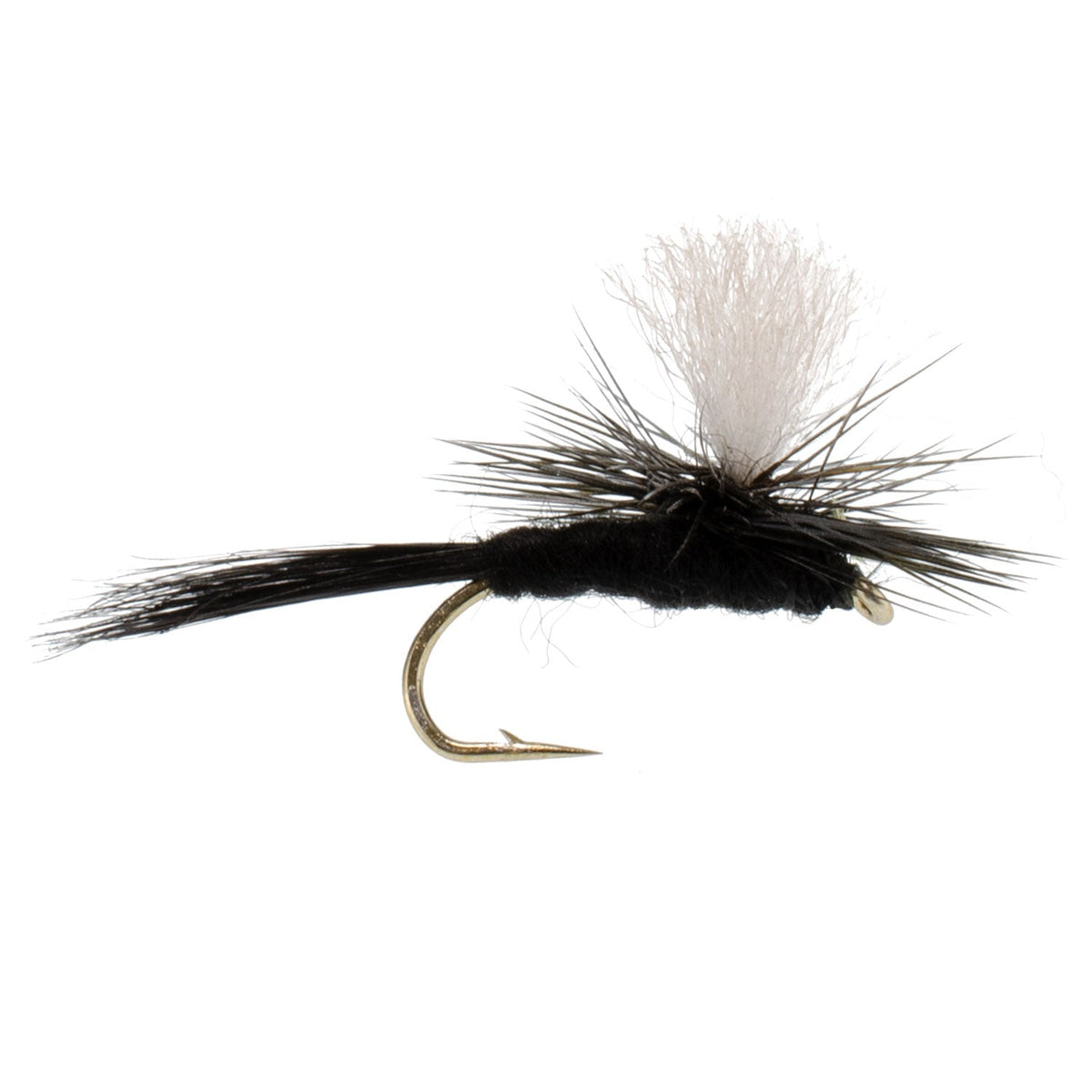 Parachute Black Gnat Classic Dry Fly - (12 Pack, Sz 12)