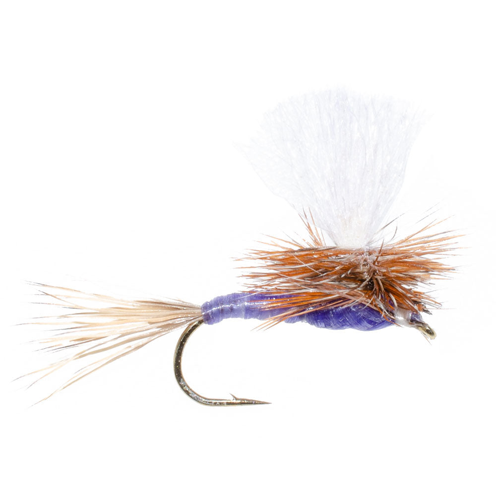 Parachute Purple Haze Dry Fly - (3 Pack, Sz 12)