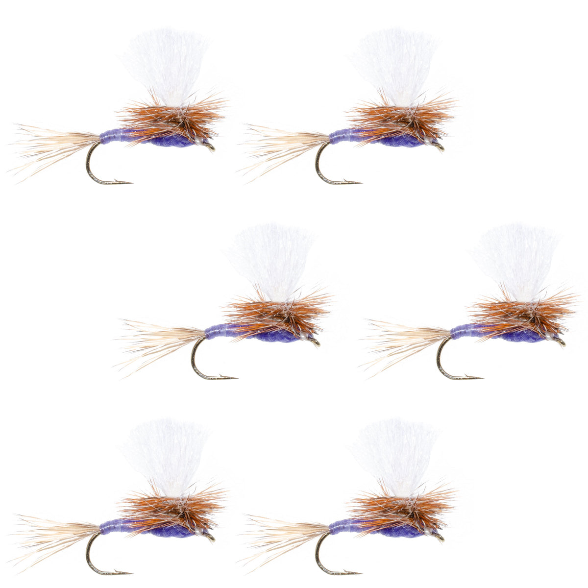 Parachute Purple Haze Dry Fly - (6 Pack, Sz 20)