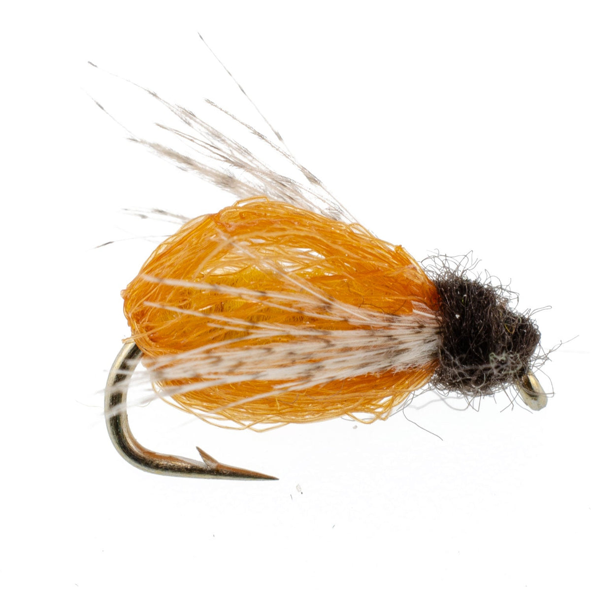 LaFontaine Amber Deep Sparkle Caddis Pupa - (6 Pack, Sz 18)