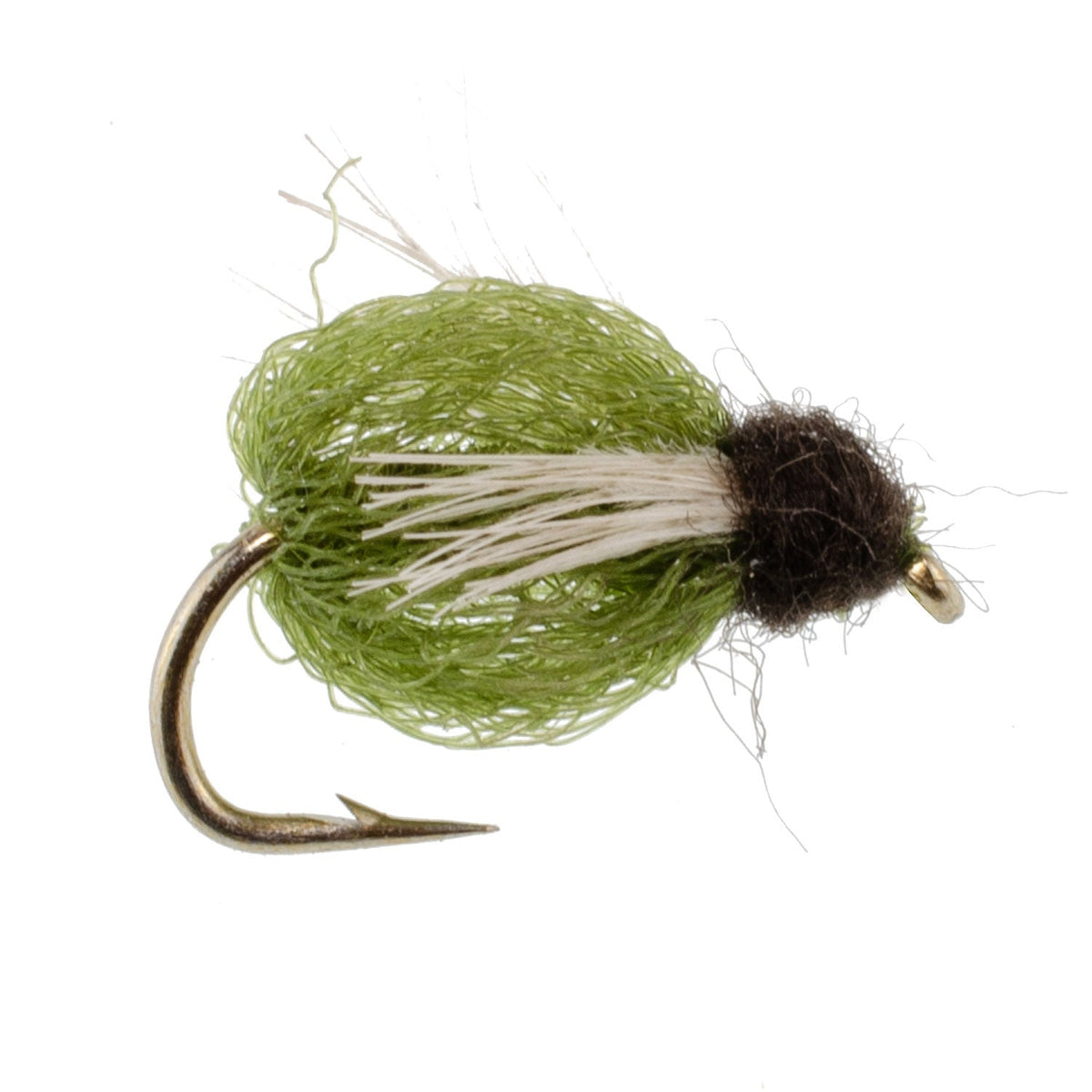 LaFontaine Olive Deep Sparkle Caddis Pupa - (6 Pack, Sz 14)